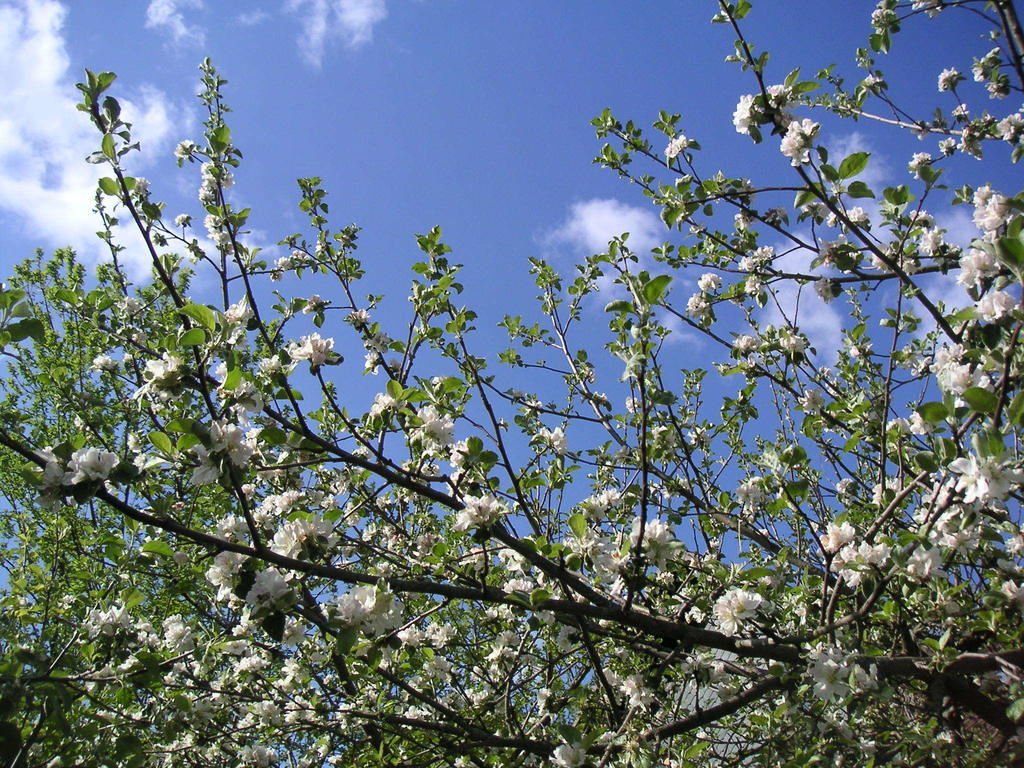 Natur-Aktiv-Hof Thiem Pottenstein Oda fotoğraf